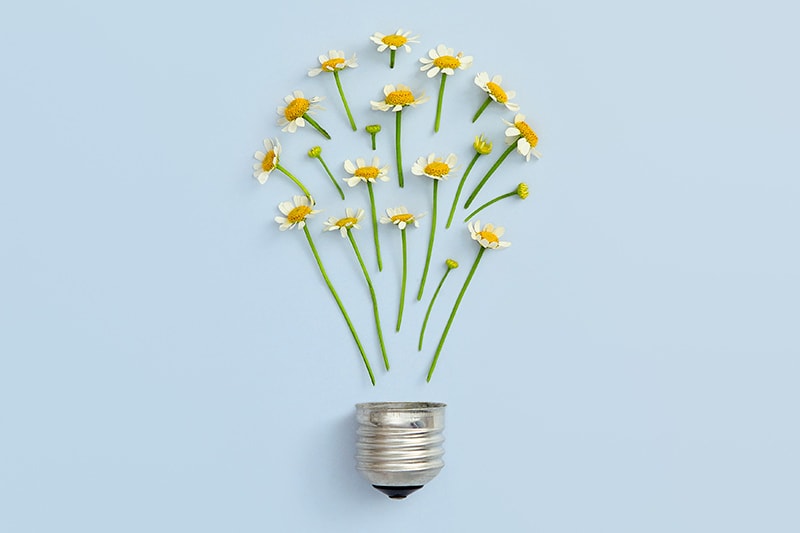 Graphic of small daisies making a light bulb.